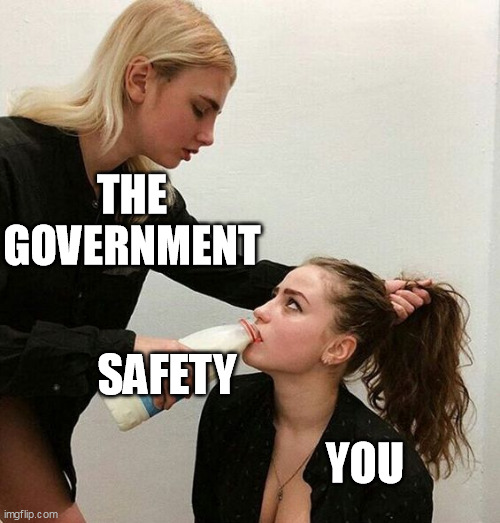 Government Force Fed Safety | THE
GOVERNMENT; SAFETY; YOU | image tagged in milk girls | made w/ Imgflip meme maker