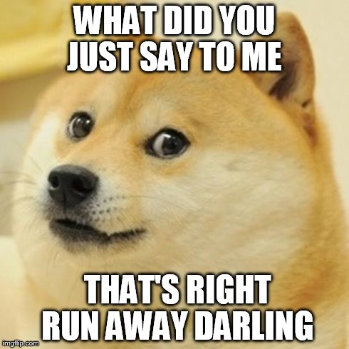 Doge Meme | WHAT DID YOU JUST SAY TO ME   THAT'S RIGHT RUN AWAY DARLING | image tagged in memes,doge | made w/ Imgflip meme maker