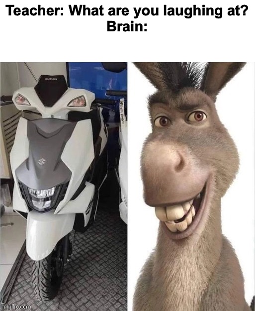 Okay, here goes. | Teacher: What are you laughing at?
Brain: | image tagged in memes,funny,uncanny similarity,wtf,animals,vehicles | made w/ Imgflip meme maker