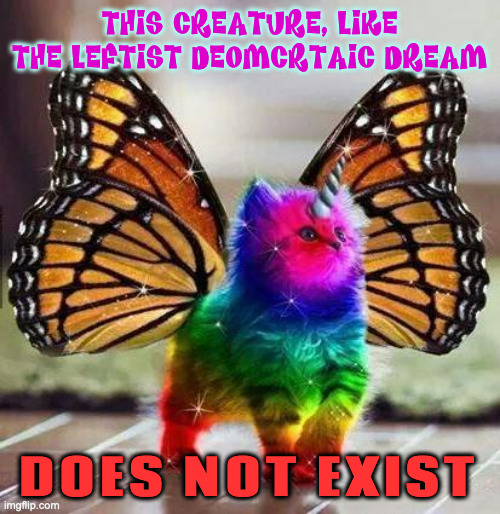 Rainbow unicorn butterfly kitten | THIS CREATURE, LIKE THE LEFTIST DEOMCRTAIC DREAM DOES NOT EXIST | image tagged in rainbow unicorn butterfly kitten | made w/ Imgflip meme maker