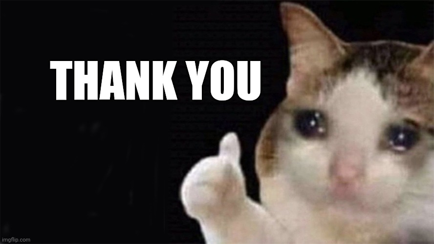 Thumbs up crying cat | THANK YOU | image tagged in thumbs up crying cat | made w/ Imgflip meme maker