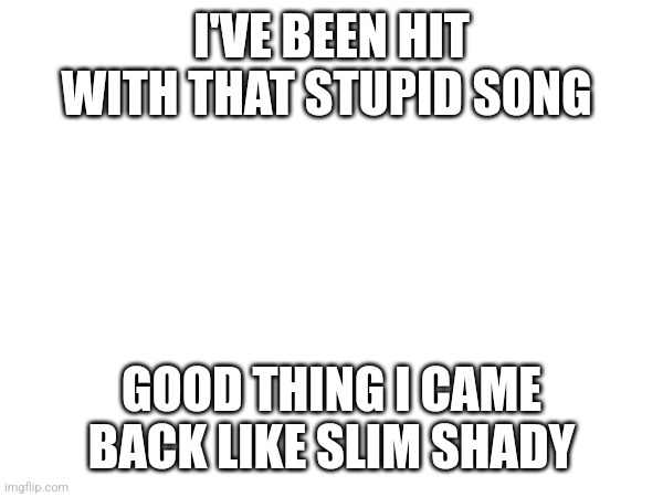 Stupid stores with stupid songs | I'VE BEEN HIT WITH THAT STUPID SONG; GOOD THING I CAME BACK LIKE SLIM SHADY | image tagged in mariah carey | made w/ Imgflip meme maker