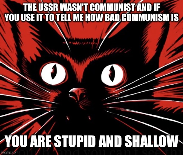 Shallow | THE USSR WASN'T COMMUNIST AND IF YOU USE IT TO TELL ME HOW BAD COMMUNISM IS; YOU ARE STUPID AND SHALLOW | image tagged in sabo tabby cat,communist | made w/ Imgflip meme maker