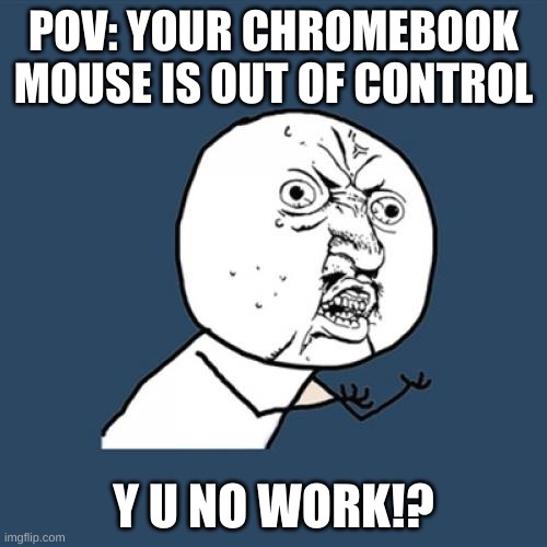 Pov: your chromebook mouse is out of control | POV: YOUR CHROMEBOOK MOUSE IS OUT OF CONTROL; Y U NO WORK!? | image tagged in memes,y u no,chromebook,glitch,technology | made w/ Imgflip meme maker