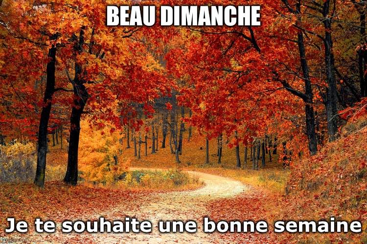 Dimanche | BEAU DIMANCHE; Je te souhaite une bonne semaine | image tagged in road in autumn | made w/ Imgflip meme maker