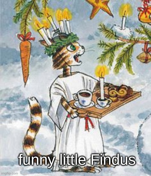 Findus is a swedish book character btw | funny little Findus | made w/ Imgflip meme maker