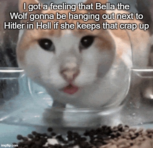 Mr Shock stare | I got a feeling that Bella the Wolf gonna be hanging out next to Hitler in Hell if she keeps that crap up | image tagged in mr shock stare | made w/ Imgflip meme maker