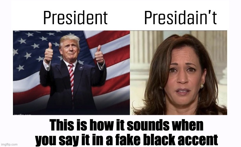 What's that choking sound? | This is how it sounds when you say it in a fake black accent | image tagged in kamaloser,harris | made w/ Imgflip meme maker