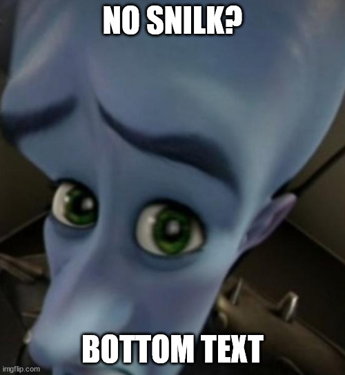 Megamind no bitches | NO SNILK? BOTTOM TEXT | image tagged in megamind no bitches | made w/ Imgflip meme maker