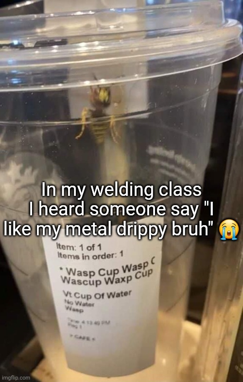 Wasp cup Wasp cup Wasp cup Wasp cup Wasp cup Wasp cup Wasp cup | In my welding class I heard someone say "I like my metal drippy bruh" 😭 | image tagged in wasp cup wasp cup wasp cup wasp cup wasp cup wasp cup wasp cup | made w/ Imgflip meme maker