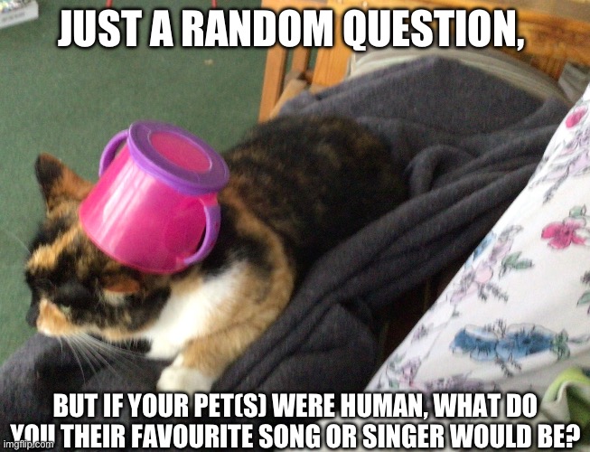 My Pansexual duck would totally listen to Taylor Swift. | JUST A RANDOM QUESTION, BUT IF YOUR PET(S) WERE HUMAN, WHAT DO YOU THEIR FAVOURITE SONG OR SINGER WOULD BE? | image tagged in cat | made w/ Imgflip meme maker