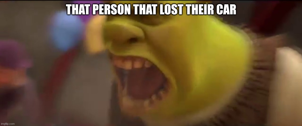 Shrek Screaming | THAT PERSON THAT LOST THEIR CAR | image tagged in shrek screaming | made w/ Imgflip meme maker