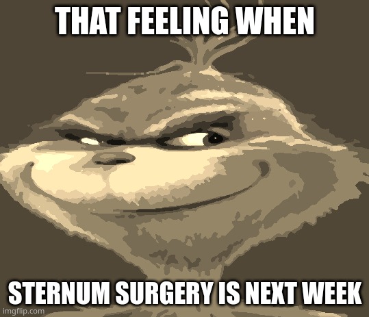 The blue grinch | THAT FEELING WHEN; STERNUM SURGERY IS NEXT WEEK | image tagged in the blue grinch | made w/ Imgflip meme maker