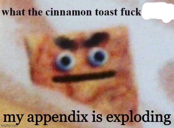 what the cinnamon toast f^%$ is this | my appendix is exploding | image tagged in what the cinnamon toast f is this | made w/ Imgflip meme maker