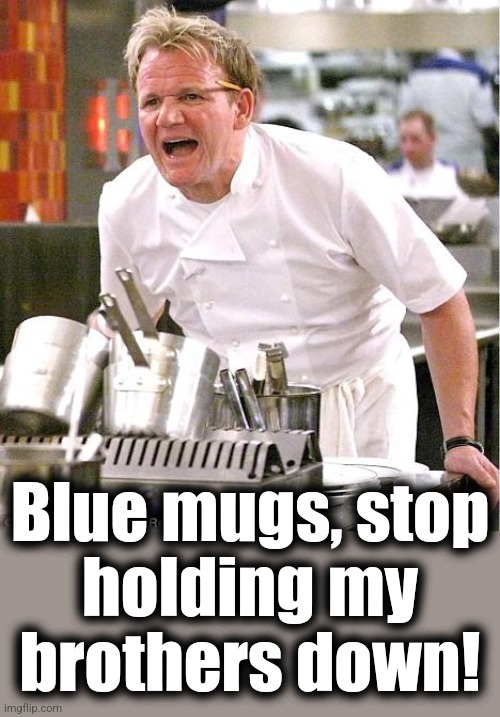 Chef Gordon Ramsay Meme | Blue mugs, stop
holding my
brothers down! | image tagged in memes,chef gordon ramsay | made w/ Imgflip meme maker