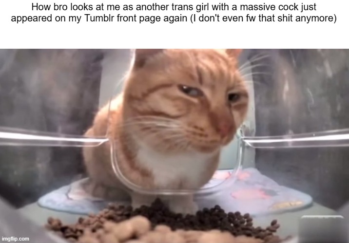 The #trans tag just be full of trans porn like ☠️ | made w/ Imgflip meme maker