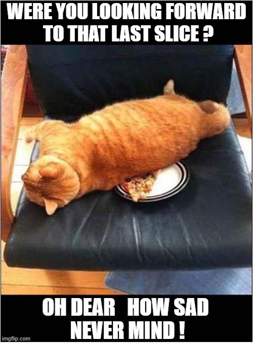 I Hope You Like Furry Food | WERE YOU LOOKING FORWARD
 TO THAT LAST SLICE ? OH DEAR   HOW SAD
 NEVER MIND ! | image tagged in cats,pizza,furry,no regrets | made w/ Imgflip meme maker