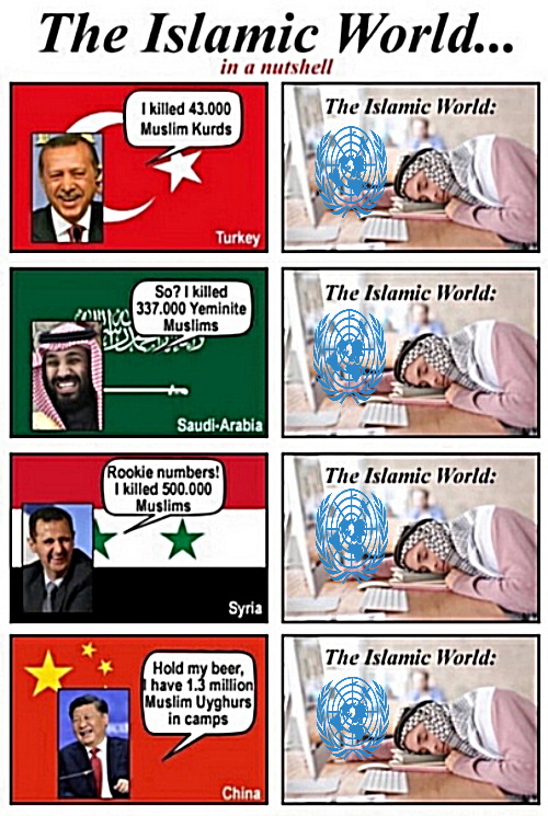 But they hate the West more? | image tagged in politics,islam,muslim,memes | made w/ Imgflip meme maker