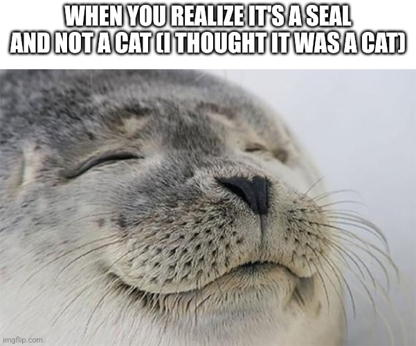 Seal not cat | WHEN YOU REALIZE IT'S A SEAL AND NOT A CAT (I THOUGHT IT WAS A CAT) | image tagged in memes,satisfied seal | made w/ Imgflip meme maker