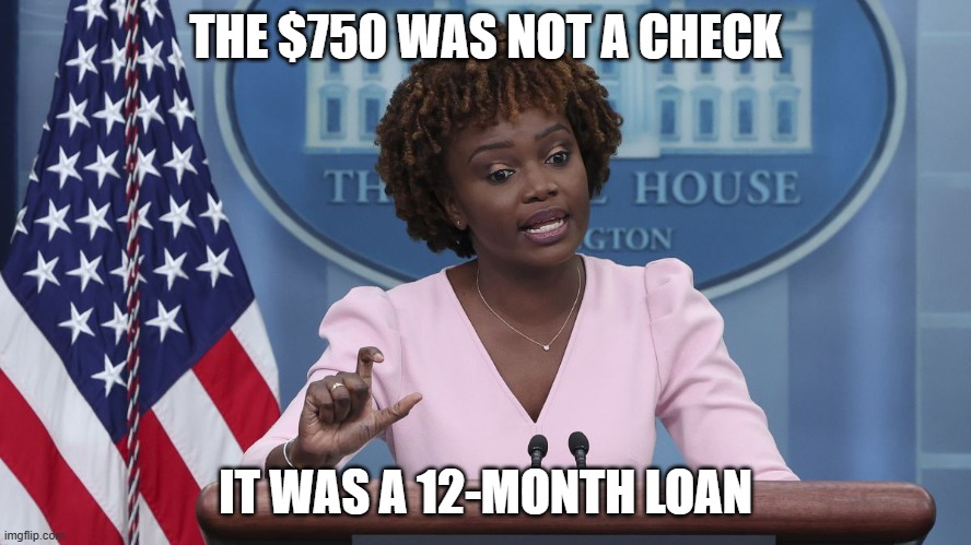 Karine Jean Pierre | THE $750 WAS NOT A CHECK IT WAS A 12-MONTH LOAN | image tagged in karine jean pierre | made w/ Imgflip meme maker