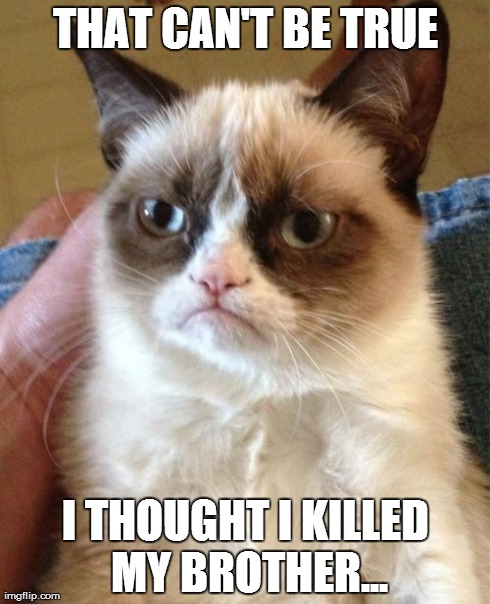 Grumpy Cat Meme | THAT CAN'T BE TRUE I THOUGHT I KILLED MY BROTHER... | image tagged in memes,grumpy cat | made w/ Imgflip meme maker
