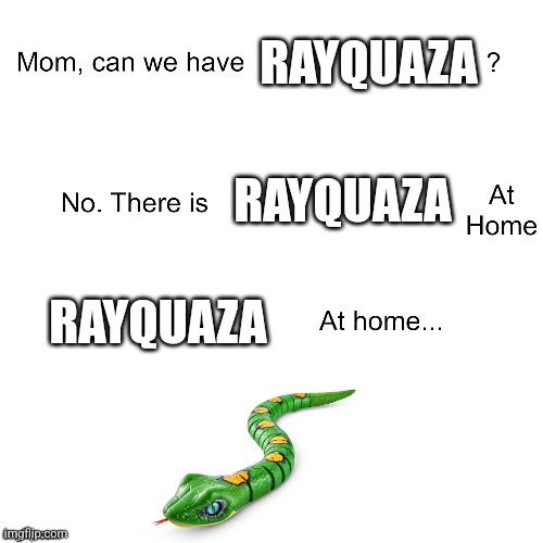 Rayquaza at home | RAYQUAZA; RAYQUAZA; RAYQUAZA | image tagged in mom can we have | made w/ Imgflip meme maker