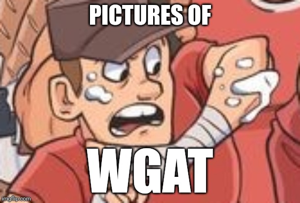 cropped scout tf2 | PICTURES OF WGAT | image tagged in cropped scout tf2 | made w/ Imgflip meme maker