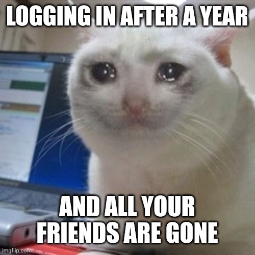 I haven't been here for a year | LOGGING IN AFTER A YEAR; AND ALL YOUR FRIENDS ARE GONE | image tagged in crying cat | made w/ Imgflip meme maker