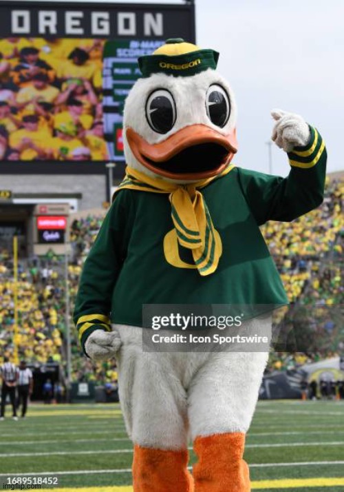 Dancing Duck | image tagged in memes | made w/ Imgflip meme maker