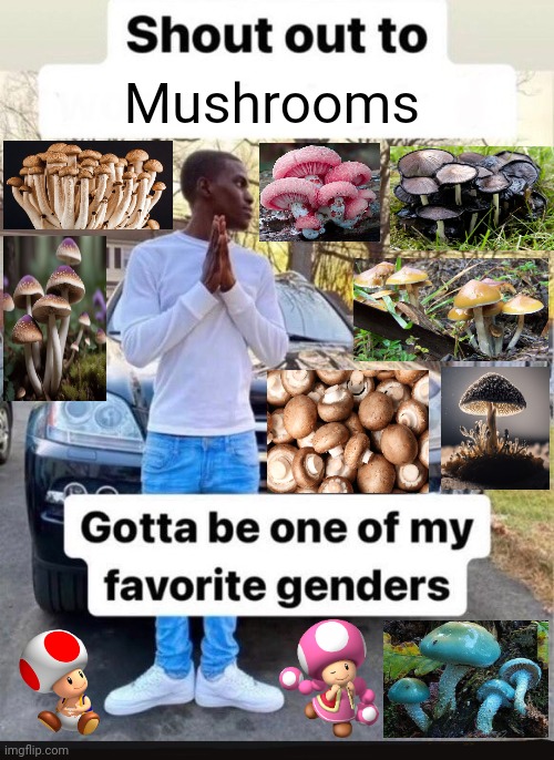 MUSHROOMS | Mushrooms | image tagged in gotta be one of my favorite genders,mushrooms | made w/ Imgflip meme maker