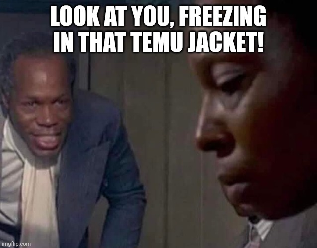 Funny | LOOK AT YOU, FREEZING IN THAT TEMU JACKET! | image tagged in custom template | made w/ Imgflip meme maker