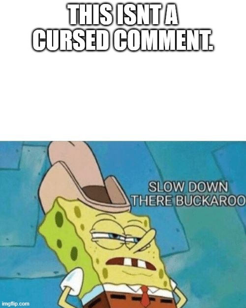 Slow down there buckaroo | THIS ISNT A CURSED COMMENT. | image tagged in slow down there buckaroo | made w/ Imgflip meme maker