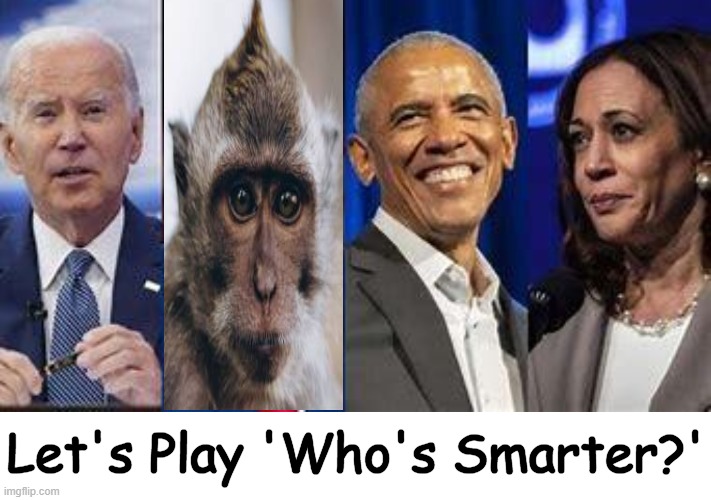 Not too difficult to arrive at an answer... | Let's Play 'Who's Smarter?' | image tagged in joe biden,barack obama,kamala harris,monkey,smart,game | made w/ Imgflip meme maker