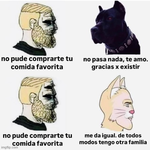 9behzx.jpg