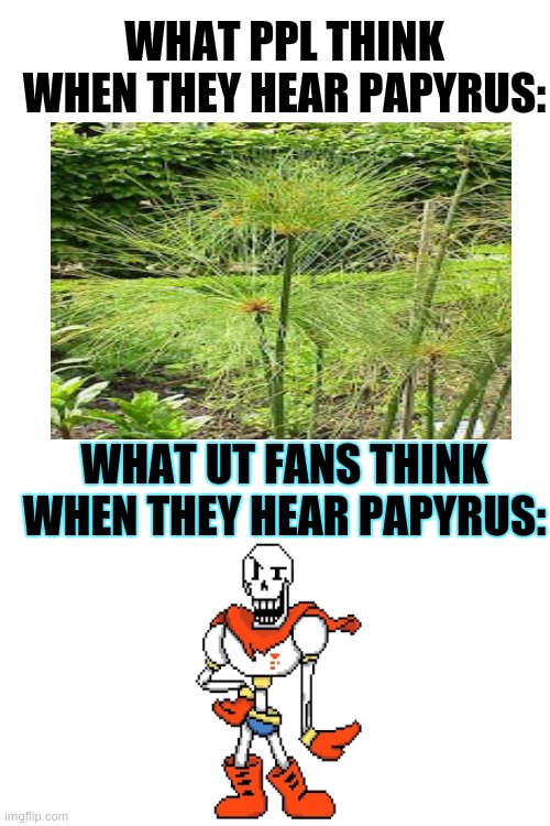 I finally got an idea of an ut meme ?? | WHAT PPL THINK WHEN THEY HEAR PAPYRUS:; WHAT UT FANS THINK WHEN THEY HEAR PAPYRUS: | image tagged in i like papyrus,the plant,and the skeleton,lol,bcs i love all plants | made w/ Imgflip meme maker