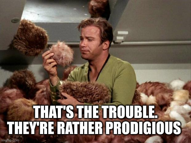 Tribbles | THAT'S THE TROUBLE.
THEY'RE RATHER PRODIGIOUS | image tagged in tribbles | made w/ Imgflip meme maker