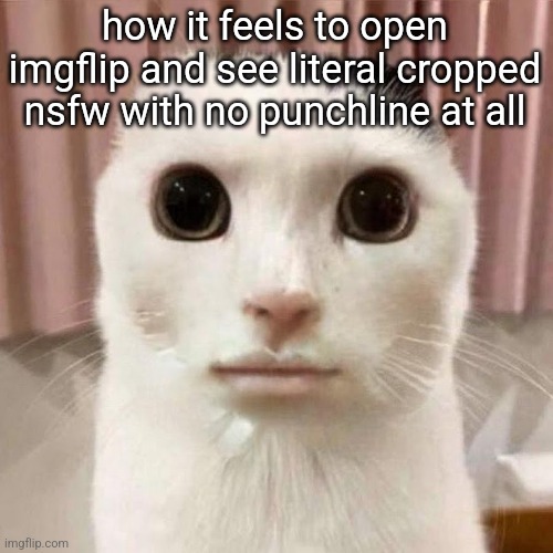 My honest reaction | how it feels to open imgflip and see literal cropped nsfw with no punchline at all | image tagged in my honest reaction | made w/ Imgflip meme maker