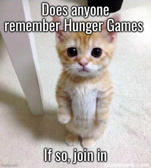 Cute Cat | Does anyone remember Hunger Games; If so, join in | image tagged in memes,cute cat | made w/ Imgflip meme maker