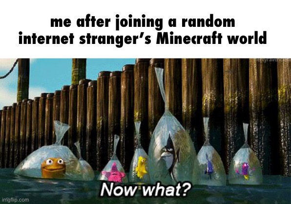 Now What? | me after joining a random internet stranger’s Minecraft world | image tagged in now what | made w/ Imgflip meme maker