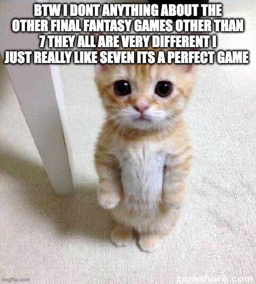 Cute Cat | BTW I DONT ANYTHING ABOUT THE OTHER FINAL FANTASY GAMES OTHER THAN 7 THEY ALL ARE VERY DIFFERENT I JUST REALLY LIKE SEVEN ITS A PERFECT GAME | image tagged in memes,cute cat | made w/ Imgflip meme maker