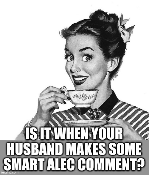 Retro woman teacup | IS IT WHEN YOUR HUSBAND MAKES SOME SMART ALEC COMMENT? | image tagged in retro woman teacup | made w/ Imgflip meme maker