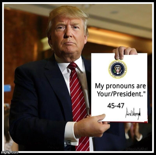 Trump pronouns 45 / 47 | image tagged in trump pronouns 45 / 47 | made w/ Imgflip meme maker