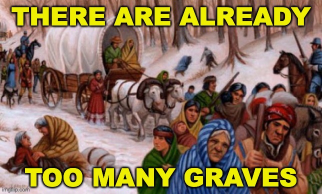 trail of tears | THERE ARE ALREADY TOO MANY GRAVES | image tagged in trail of tears | made w/ Imgflip meme maker