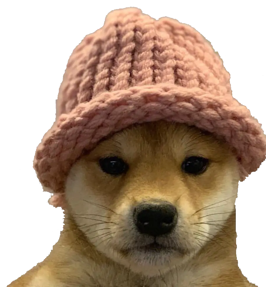 High Quality dogwifhat Blank Meme Template