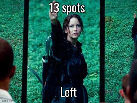 Hunger Games 2 | 13 spots; Left | image tagged in hunger games 2 | made w/ Imgflip meme maker