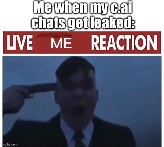 They’re not weird, I just don’t need people seeing my stuff | Me when my c.ai chats get leaked: | image tagged in character ai,memes | made w/ Imgflip meme maker