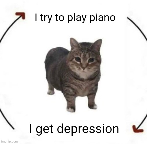 I used to be really good and I keep forgetting that I'm not anymore and need to practice | I try to play piano; I get depression | image tagged in i wake up cat | made w/ Imgflip meme maker