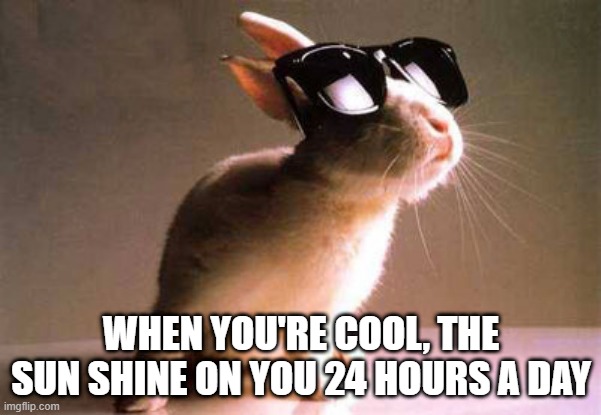 Sunglasses | WHEN YOU'RE COOL, THE SUN SHINE ON YOU 24 HOURS A DAY | image tagged in bunnies | made w/ Imgflip meme maker