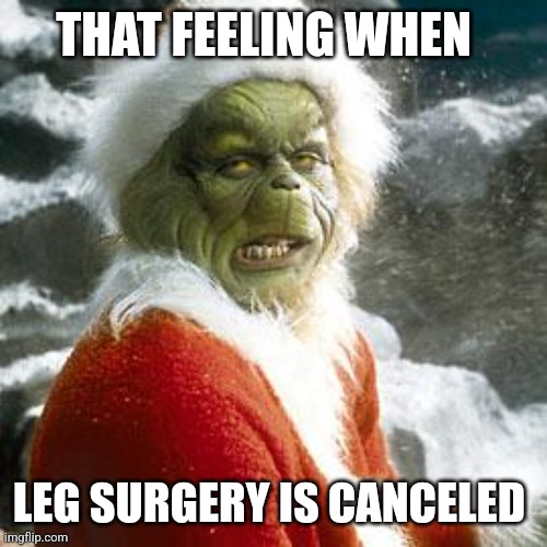 grinch | THAT FEELING WHEN; LEG SURGERY IS CANCELED | image tagged in grinch | made w/ Imgflip meme maker