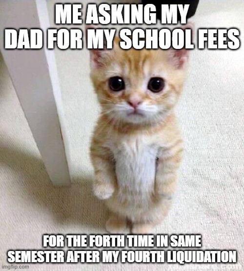 Cute Cat Meme | ME ASKING MY DAD FOR MY SCHOOL FEES; FOR THE FORTH TIME IN SAME SEMESTER AFTER MY FOURTH LIQUIDATION | image tagged in memes,cute cat | made w/ Imgflip meme maker